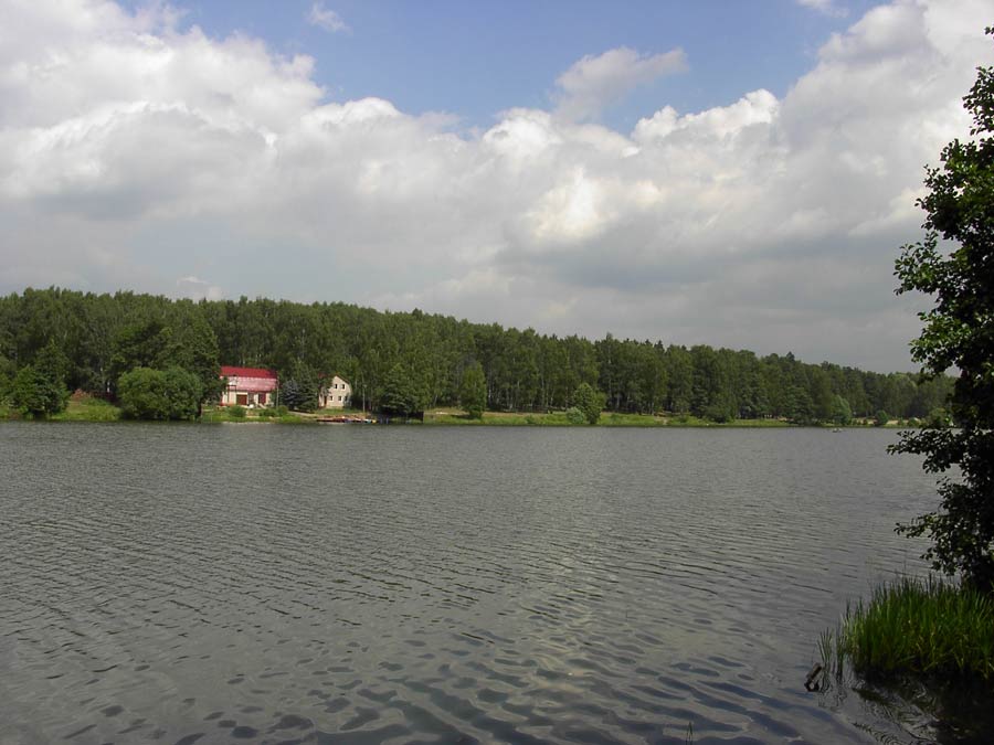 Фото озера, пансионат "Малаховка", отдых у воды в Подмосковье.